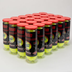 Penn Championship Regular Duty 24 Cans Tennis Balls